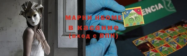 крисы Абаза