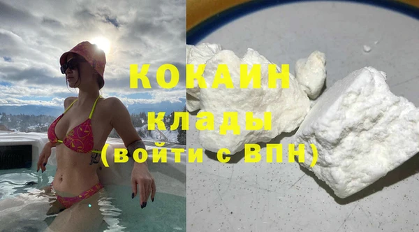 крисы Абаза