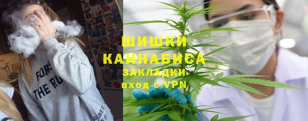 крисы Абаза