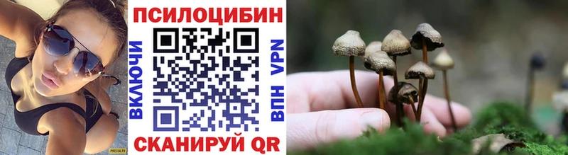 Псилоцибиновые грибы Psilocybine cubensis  цена наркотик  Нерчинск 